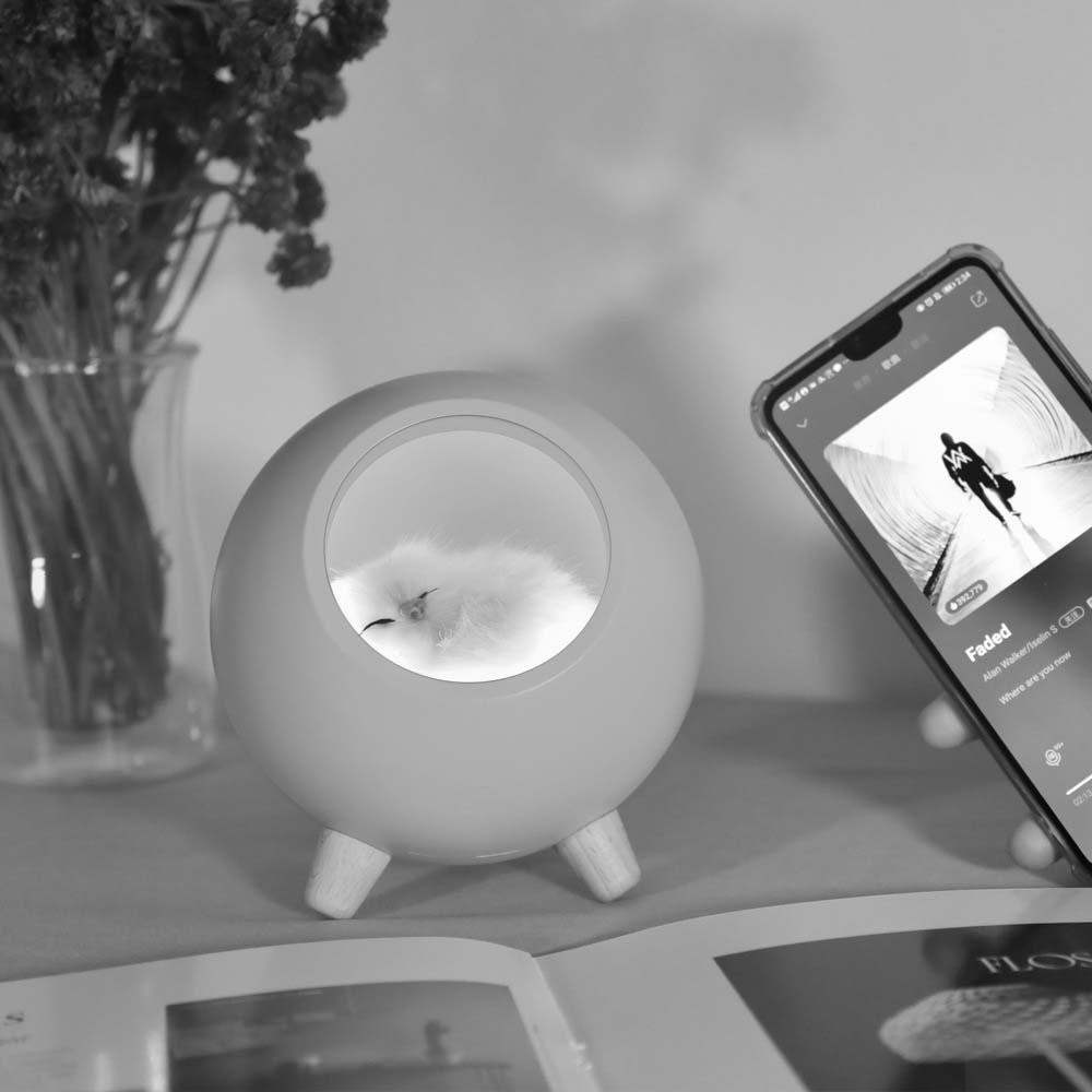 Loa Bluetooth Không Dây AUGUSTINA Âm Thanh Siêu Trầm Có Đèn LED Ban Đêm