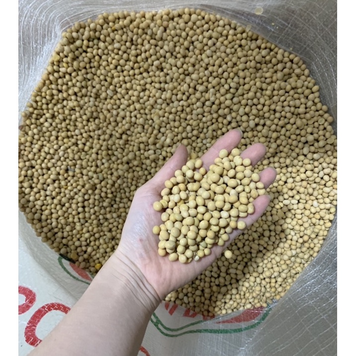 Đỗ tương đậu nành 1kg làm sữa hạt, tào phớ, có giấy tờ kiểm định