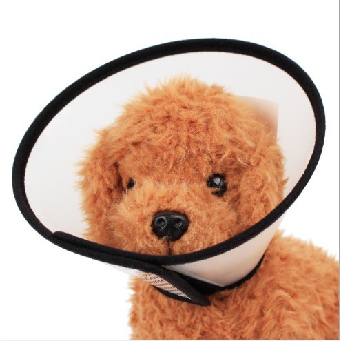 Vòng Cổ Chống Liếm Dogstory Cho Thú Cưng Chó Mèo - Leon Pet Store