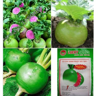 2Gram Hạt giống củ cải xanh ruột đỏ