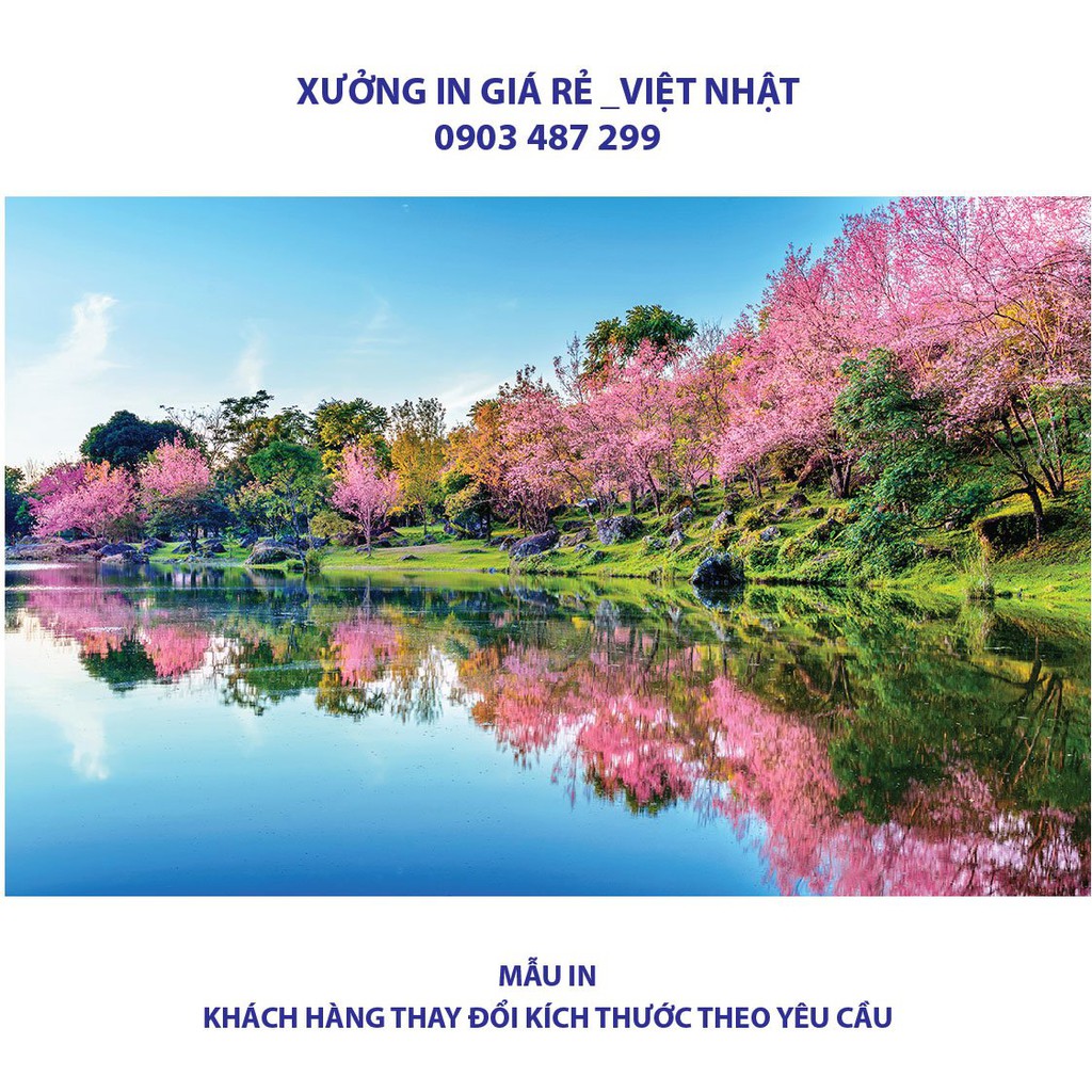 Decal dán tường, tranh dán tường kích thước theo yêu cầu, Tranh Decal dán kính_Giá gốc tại xưởng