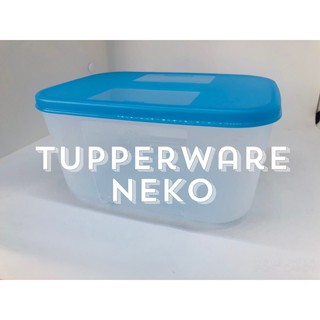 Hộp trữ đông 650ml Tupper Ware