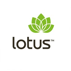 Bột Làm Bánh Hữu Cơ Kiều Mạch Lotus - ORGANIC Buckwheat Flour - Túi 500g