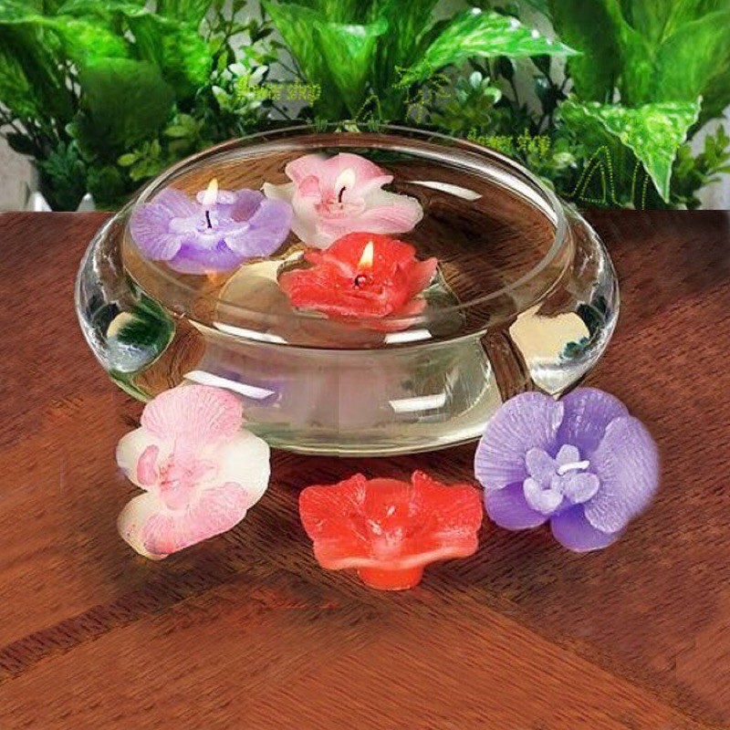 Bể thủy tinh trồng cây thả cá