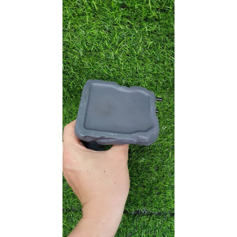 Sủi oxi tượng trâu Trang trí bể cá + sủi oxi kết hợp