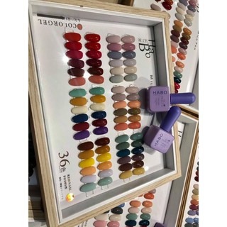 thanh lý set sơn gel