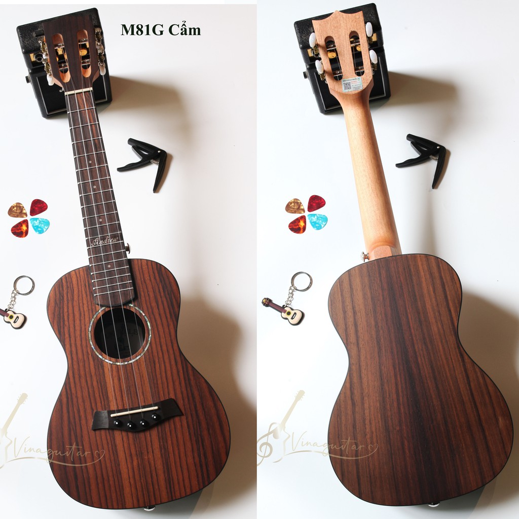 Đàn Ukulele Concert Gỗ Cẩm Andrew MZ-M81G - Vinaguitar Phân Phối Chính Hãng