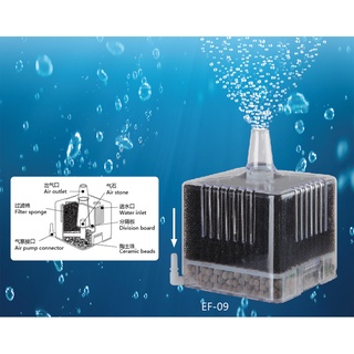 Lọc vi sinh aquablue ef 09 hỗ trợ tăng vi sinh cho hồ cálonghoacacanh611288
