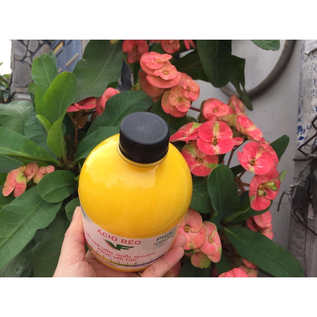 Dung dịch ACID Béo Plus + hỗ trợ hóa chất cho uốn duỗi nhuộm phục hồi tóc 450 ml