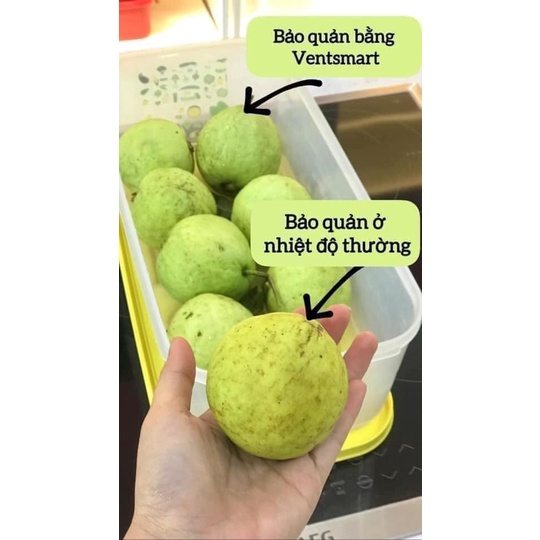 Bộ hộp đựng rau củ quả trữ mát có nút hô hấp Tupperware Ventsmart 7 hộp - Hàng chính hãng - Bảo hành trọn đời