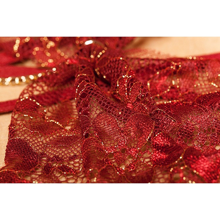 Quần Lót Nữ Ren cao cấp Hở Đáy phối nơ thiết kế sexy thoáng mát MÃ 2256