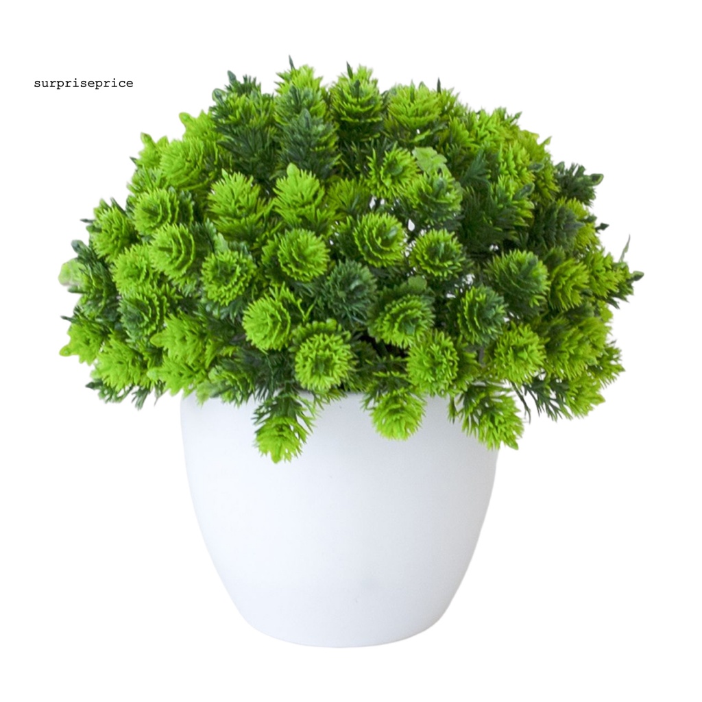 Chậu Cây Bonsai Giả Trang Trí Văn Phòng