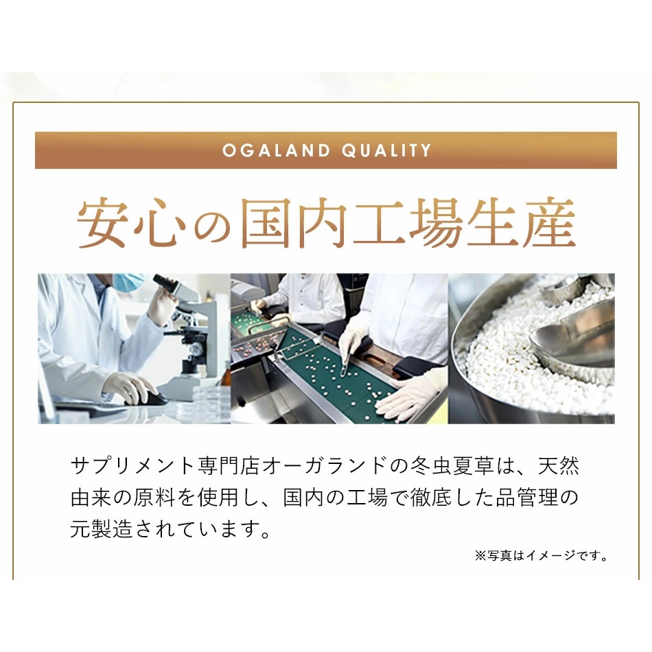Viên Uống Đông Trùng Hạ Thảo Ogaland Nhật Bản Túi 60 Viên