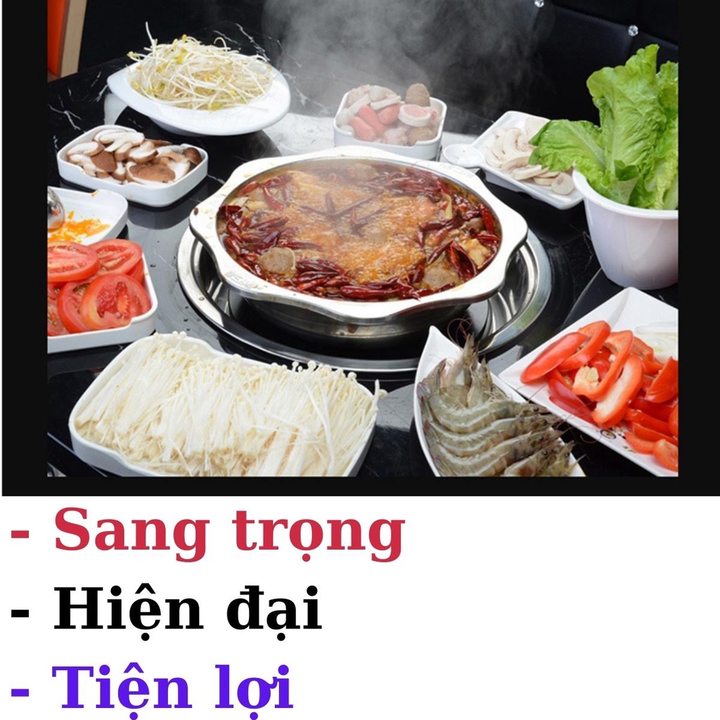 Bếp điện từ, quang, hồng ngoại dùng cho nhà hàng, quán lẩu dạng đặt âm công suất 2000 đến 3000w, điều khiển rời Alate