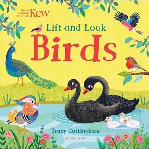 Sách - Anh: Kew, Lift and Look Birds