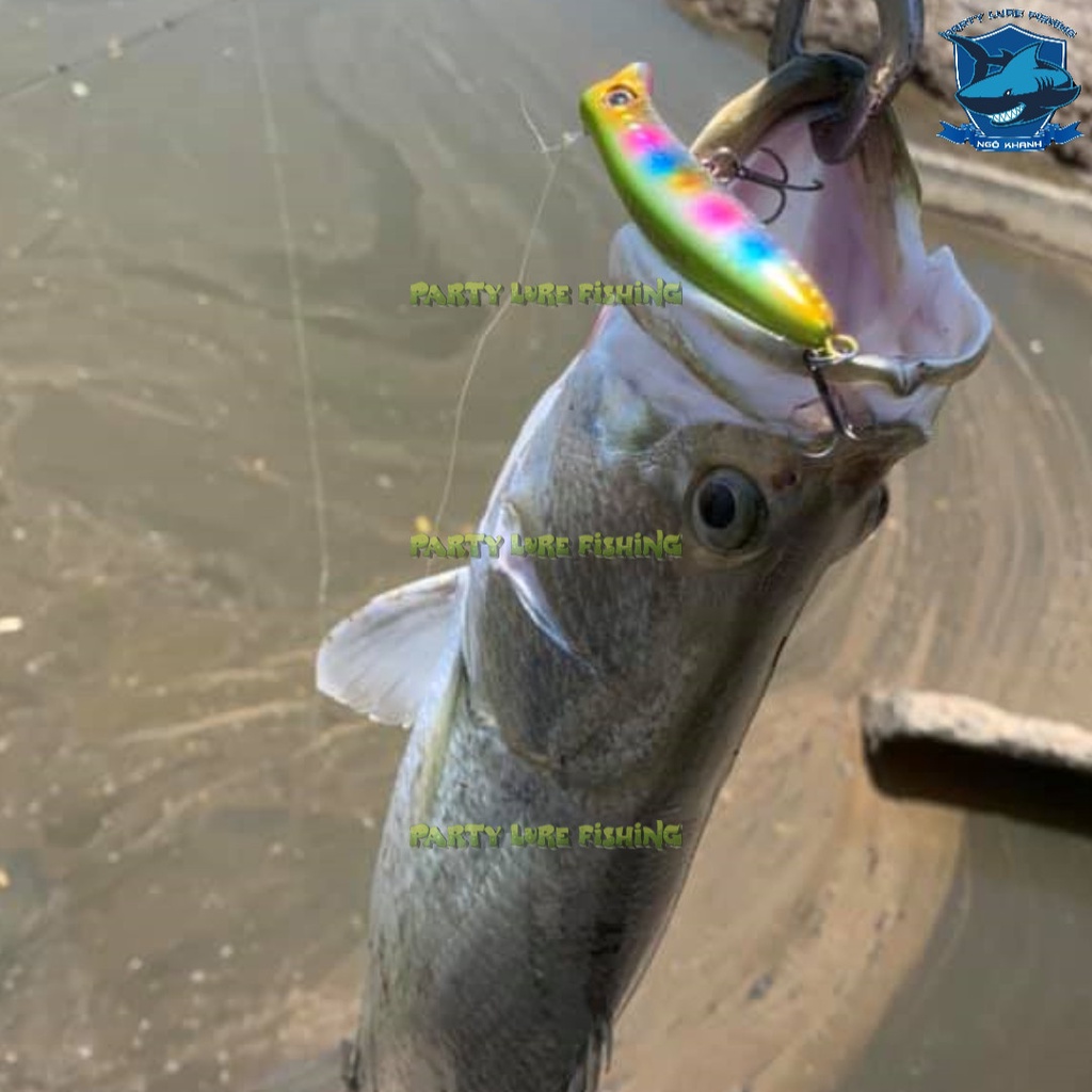 Mồi câu lure Target Komodo 65F , mồi giả câu cá chẽm, măng, chéc, cháo, mú