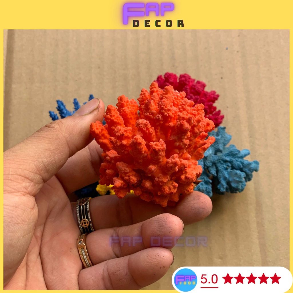 BÔNG RẠN SAN HÔ MINI PHONG THỦY PHỐI MÀU DECOR NHÀ CỬA, SAN HÔ NHIỀU MÀU TRANG TRÍ THỦY SINH