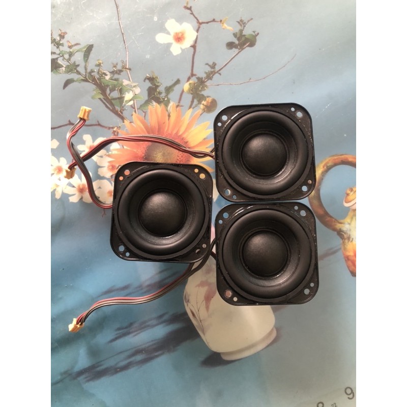 Loa Zin tháo Sony Extra Bass XB20 4Ôm 12.5Wat