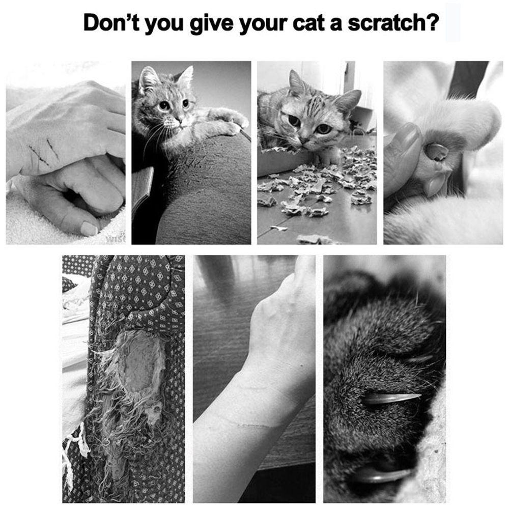 Bóng Cào Móng Dành Cho Mèo Cưng