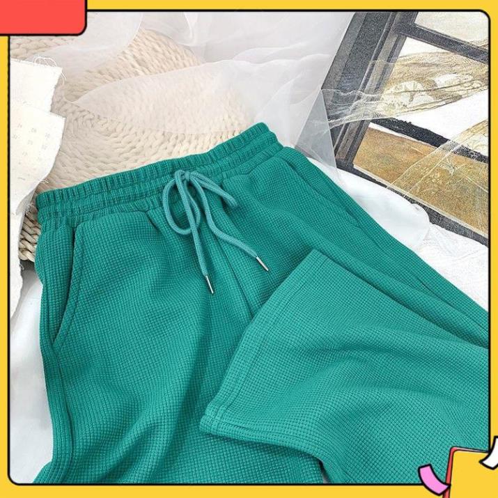 Quần ống rộng suông nữ  nỉ tổ ong cạp chun có dây rút phong cách Hàn Quốc