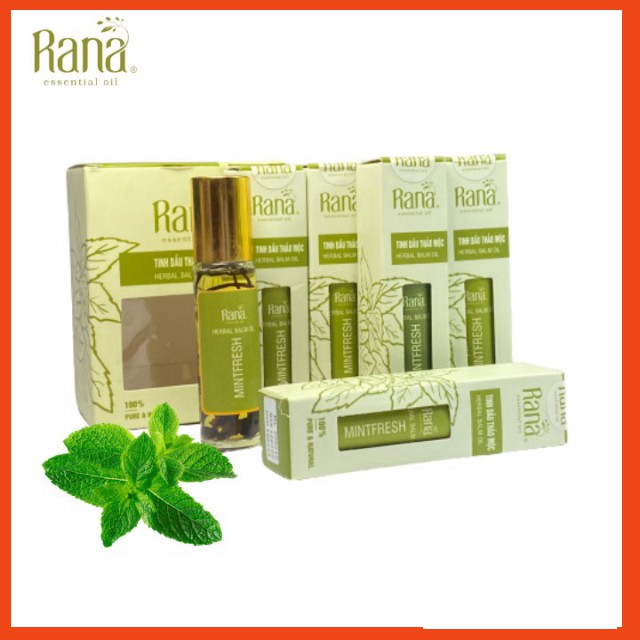5 TẶNG 1 Dầu Thảo Dược Dạng Lăn BẠC HÀ Menthol 10ml _ Giải pháp CHỐNG SAY TÀU XE, LÀM ẤM CƠ THỂ_Tinh dầu Việt Nam