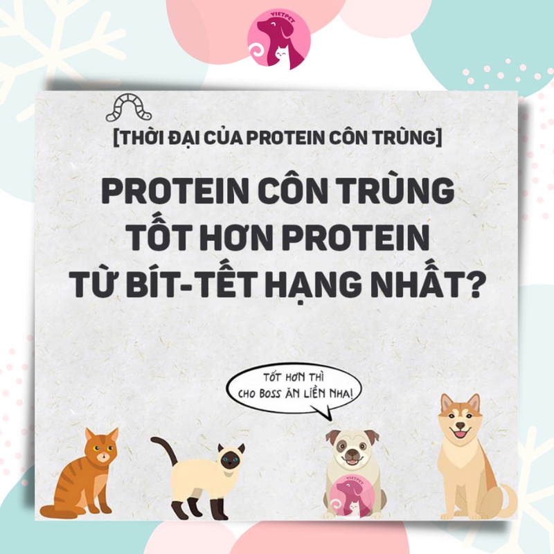 [SALE LỚN] Thịt tươi cuộn thanh sữa - Snack BOWWOW cho chó/ cún