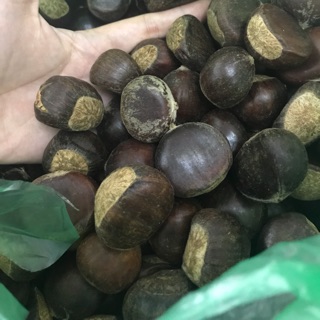 Hạt dẻ hạt to ngon bở bùi