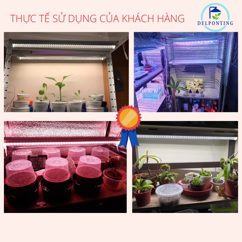 Dây Nguồn Công Tắc Đèn LED Trồng Cây Trong Nhà DELPONTING Đèn Quang Hợp Cho Cây, Rau, Thuỷ Canh, Sen Đá,..