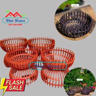 Chậu Trồng Lan Bí