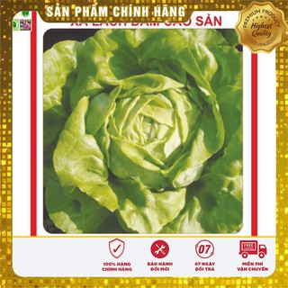 Hạt Giống Xà Lách Đăm Cao Sản 2gr [Bán Sỉ]