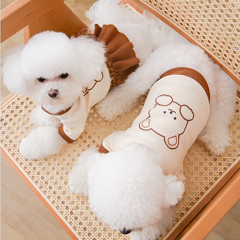 Đầm Đôi Dễ Thương Cho Thú Cưng Chihuahua Yorkie