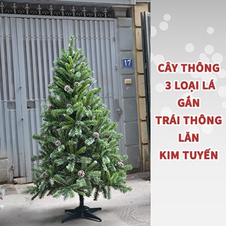 Cây thông 3 loại lá gắn trái thông 1m2 [3LLQC-4PC] (chân nhựa)