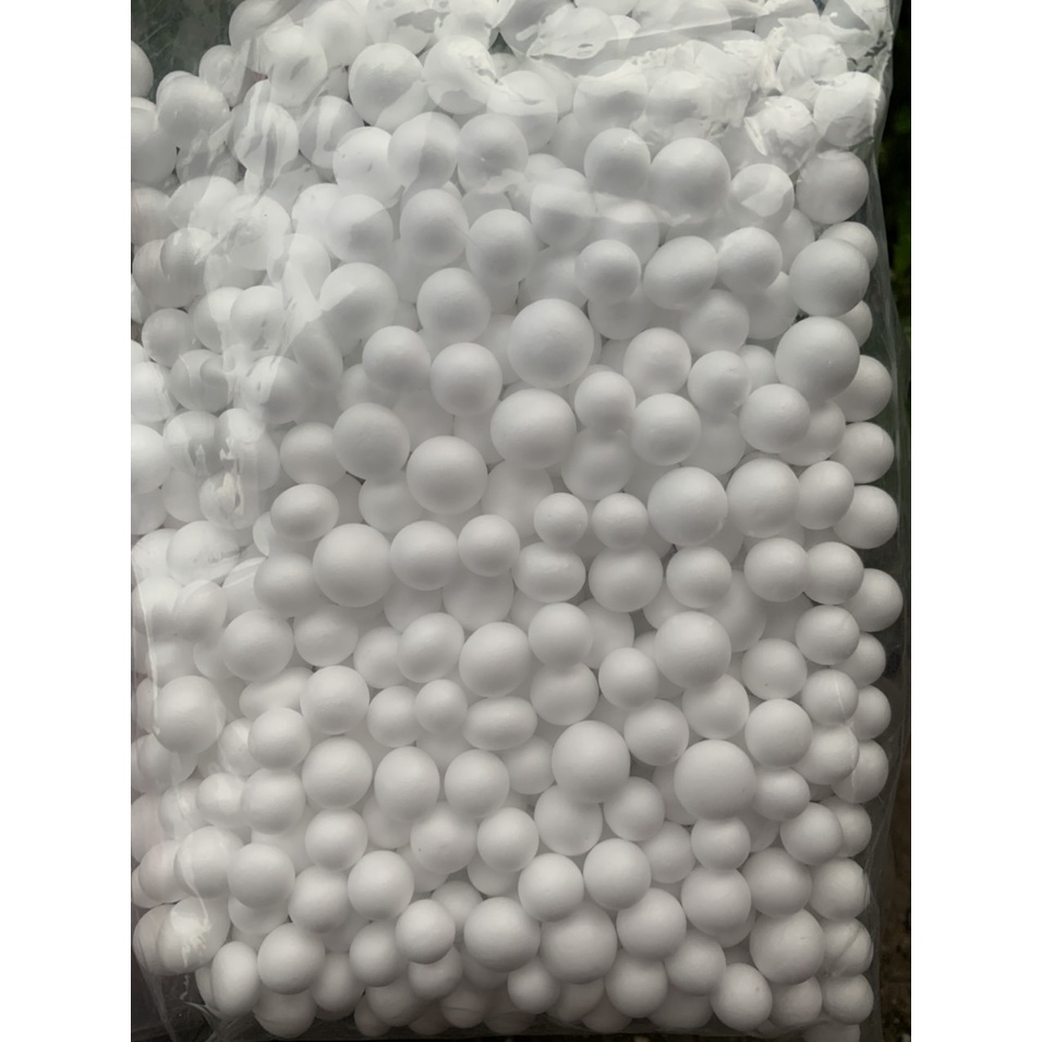 HẠT XỐP CÂU LANCE