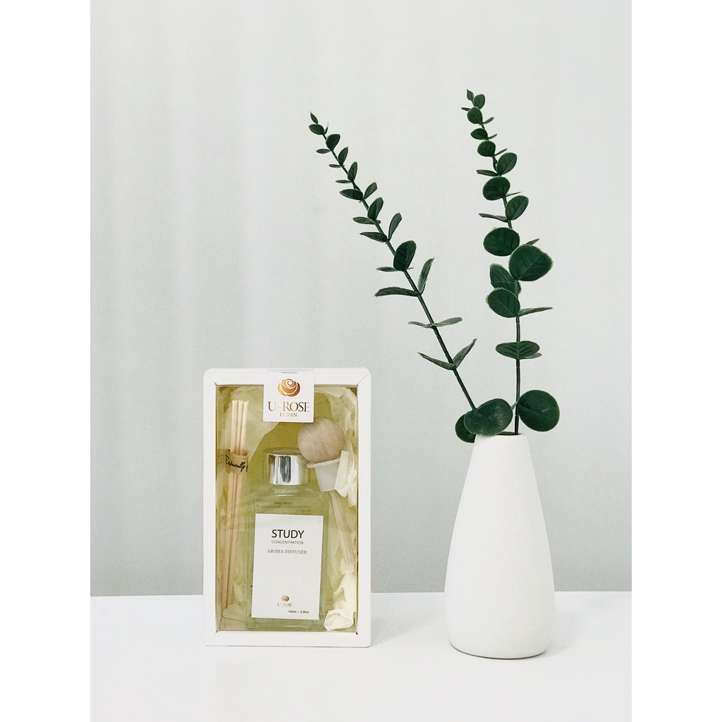 Lọ khuếch tán tinh dầu Concentration Aroma Diffuser thay thế nến thơm, giúp làm sạch không khí, khử mùi 200ml - K2V Shop