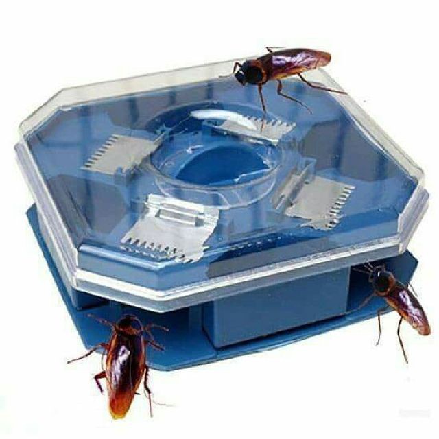 máy bắt gián triệt để