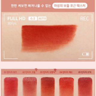 Son EGLIPS VELVET TINT