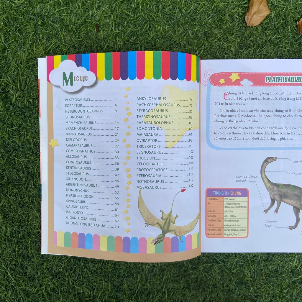 Sách: Bách Khoa Động Vật Dành Cho Trẻ Nhỏ - Khủng Long - TSTN