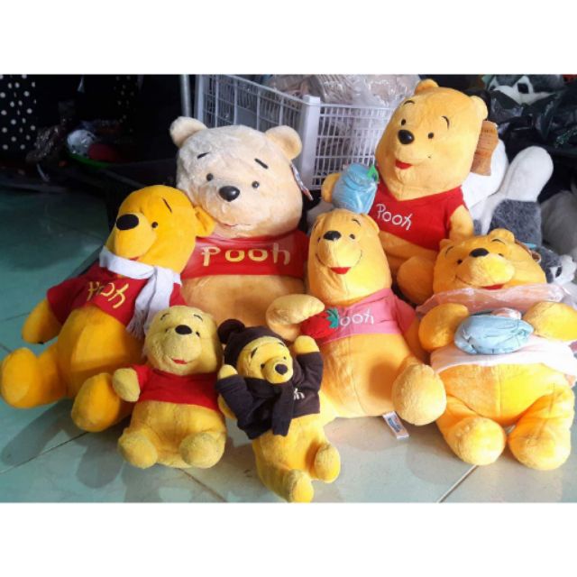 Gau pooh quyen