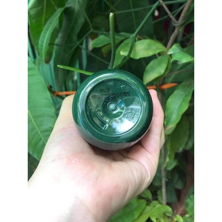 Sữa rữa mặt Vegitok Purple