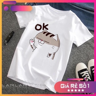 Áo thun đẹp🔥siêusale🔥 áo mèo ami bụng bự siêu dễ thương