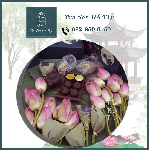 Chè sen Hồ Tây nguyên bông sấy khô ngon thượng hạng Thư Bảo Trà