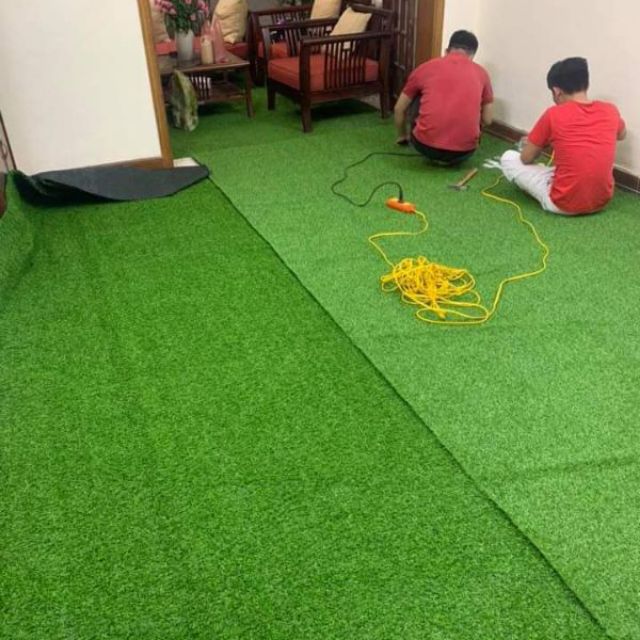 Combo 15m2 cỏ 1.5cm