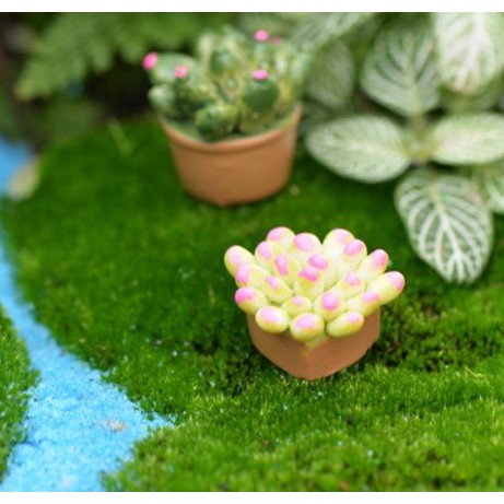 Tiểu Cảnh - Chậu cây sen đá và xương rồng làm tiểu cảnh terrarium/ mô hình trang trí