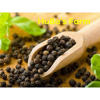 Hạt tiêu sạch nhà trồng, tiêu đen chắc hạt đảm bảo, chín đỏ phơi khô sản phẩm HUBA'S FARM