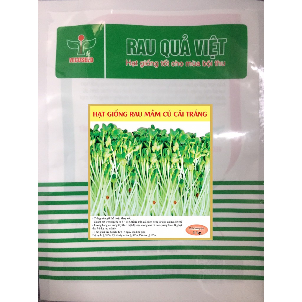 Hạt giống mầm củ cải trắng - HẠT TO - gói 1KG