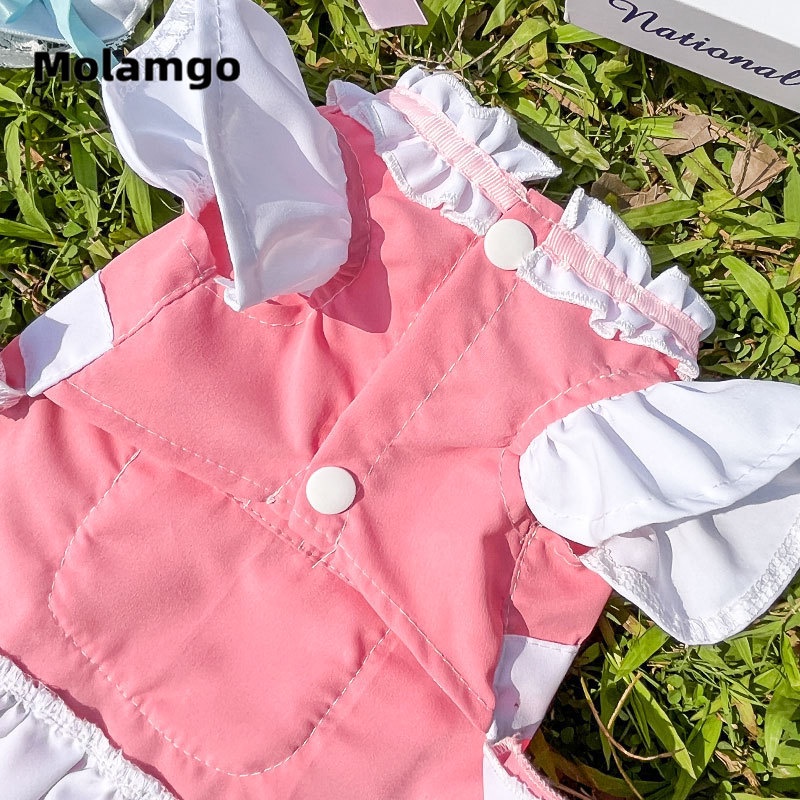 Đầm Hóa Trang Người Hầu Dễ Thương Cho Thú Cưng