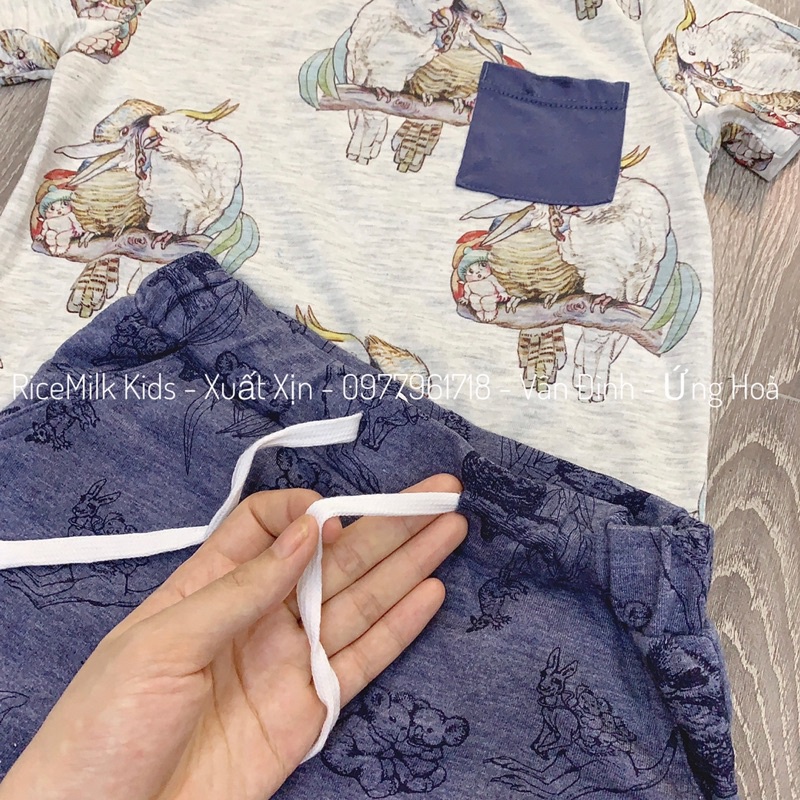 Bộ hè áo cotton quần da cá hình cú