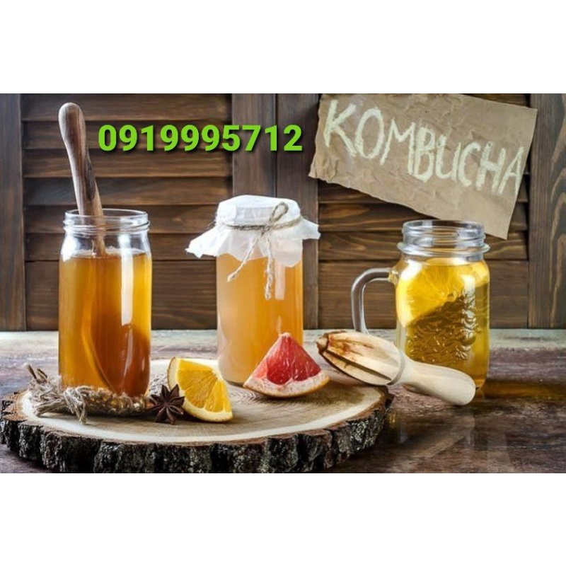 NẤM THỦY SÂM KOMBUCHA LÊN MEN TRÀ VÀ ĐƯỜNG MÍA/ MẬT ONG CÓ GA THƠM NGON