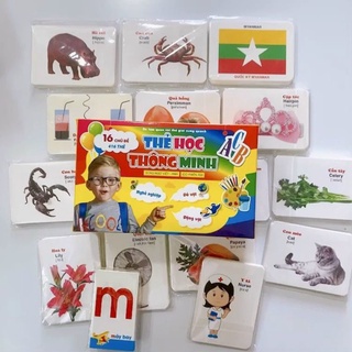 Bộ thẻ học thông minh 16 chủ đề song ngữ Anh- Việt theo phương pháp giáo dục sớm của Glenn Doman
