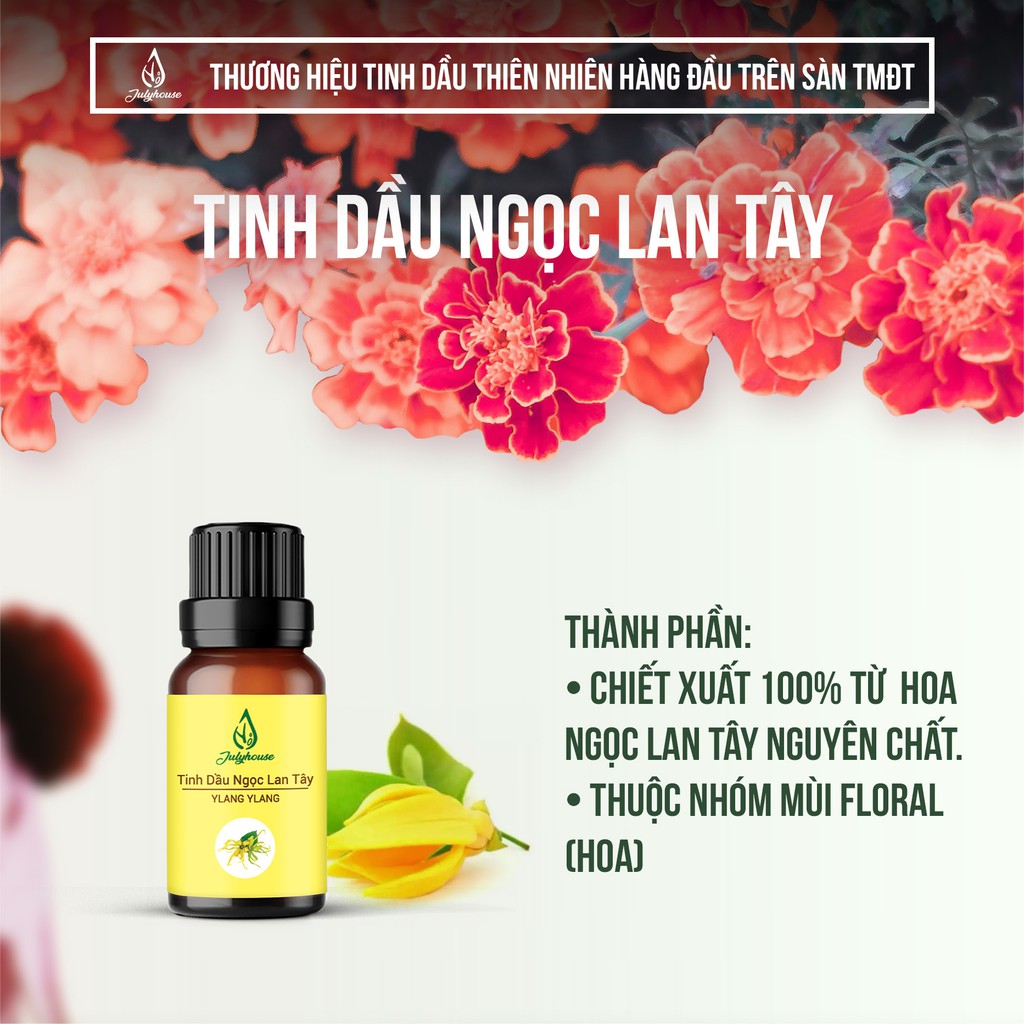 Tinh dầu Ngọc Lan Tây thơm phòng, hưng phấn tinh thần Julyhouse 10ml